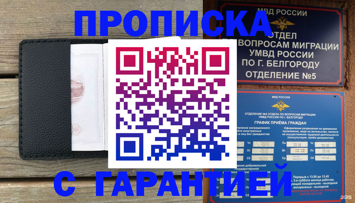 временная регистрация для всех в Могочи